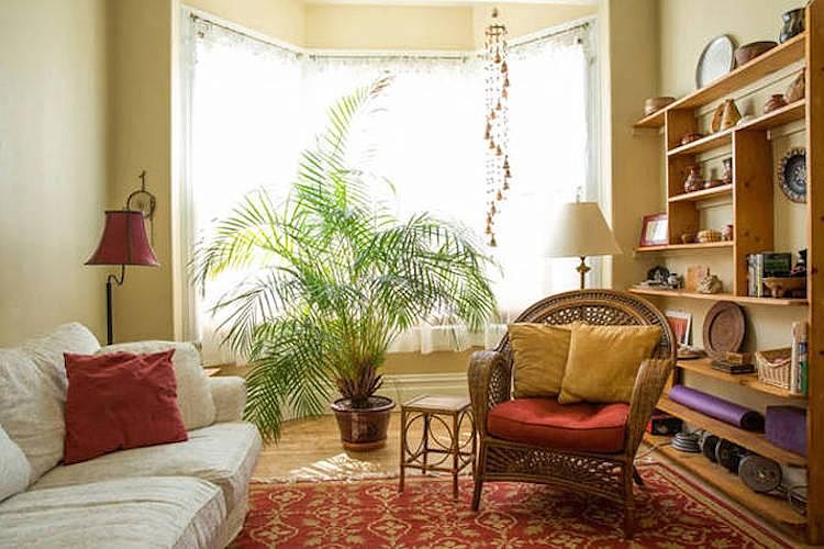 Sunny Living Room