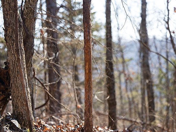 105th image of this home