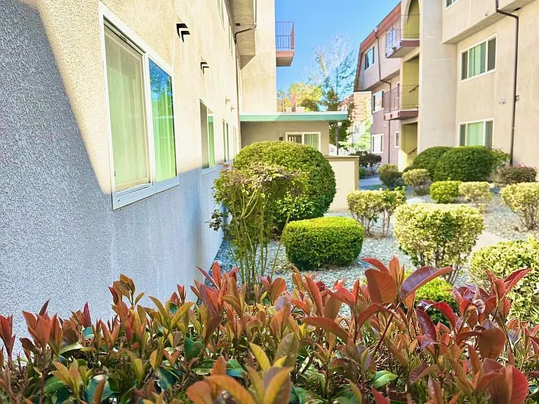Sherwood Forest Apartments — Photo 41