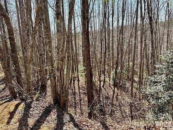 5th image of LOT 42 Round Mountain Pkwy