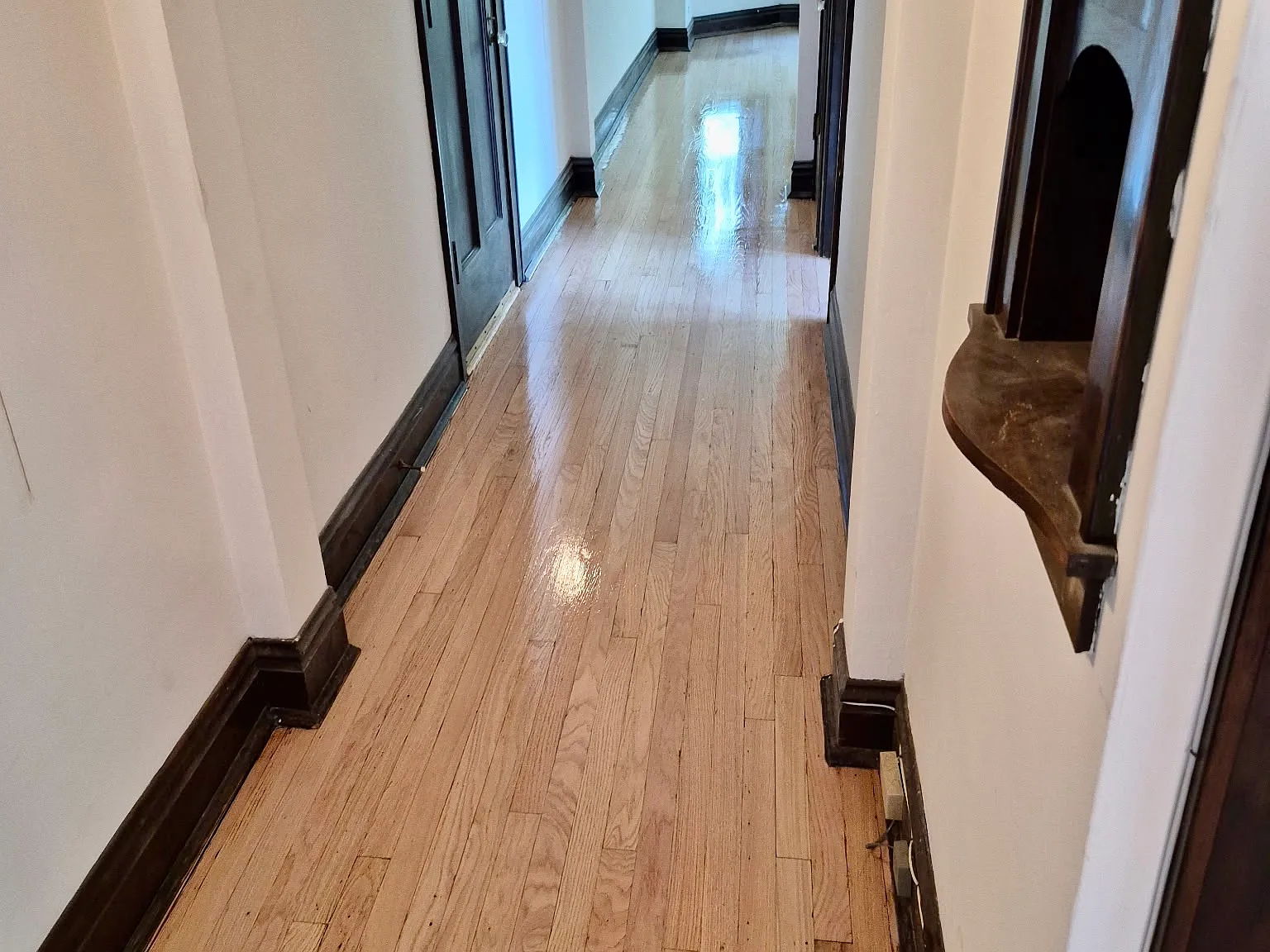 2 bed, 1000 sqft, $2,050 — Photo 3