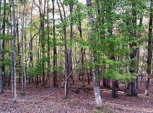 0 Turkey Scratch Rd LOT 24, Morganton, GA 30560