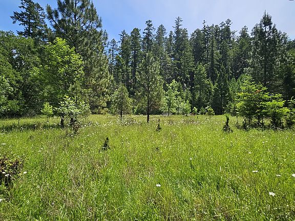 5th image of Berry Creek Rd