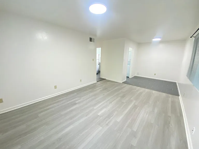 296 Lester Ave #4 — Photo 10