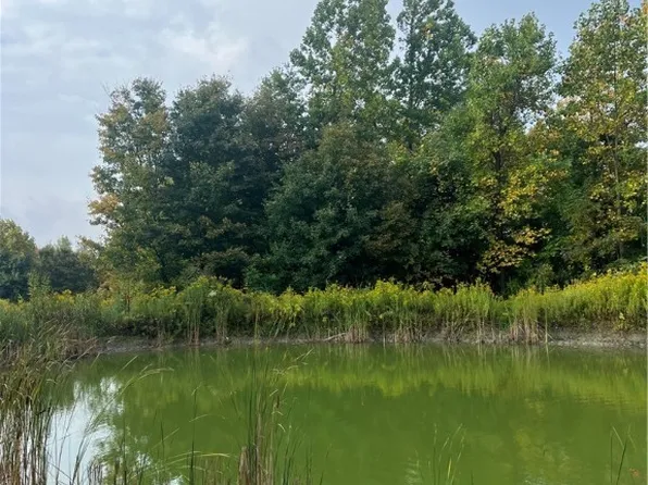 Wattlesburg Rd #47, Ripley, NY 14775