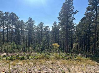 11795 Gilt Edge Rd, Deadwood, SD 57732