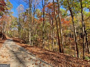 243AC Old River Rd, Dahlonega, GA 30533