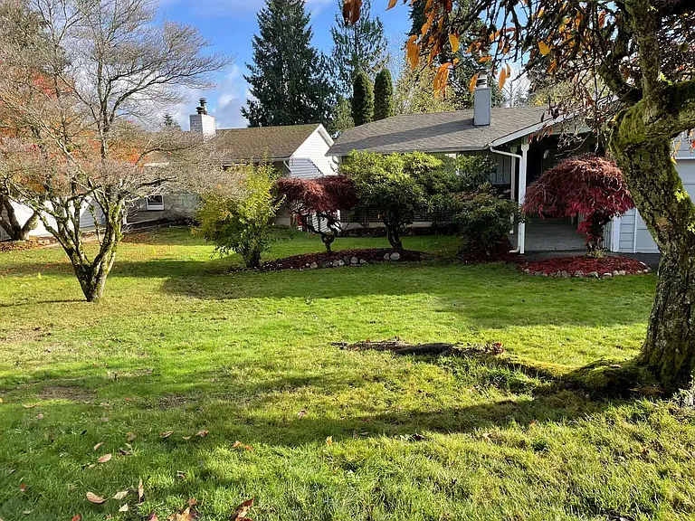 Front yard
