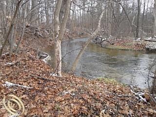 3rd image of 3137 Paint Creek Dr