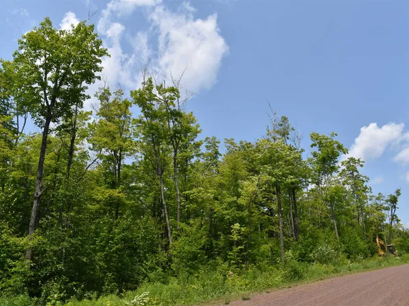 8XXX Blackwoods Dr, Finland, MN 55603