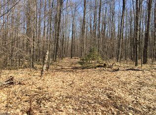 Van Alstine Rd, White Lake, WI 54491