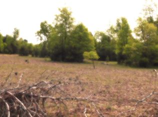 15880 Potter Rd #B2682, Kaleva, MI 49645