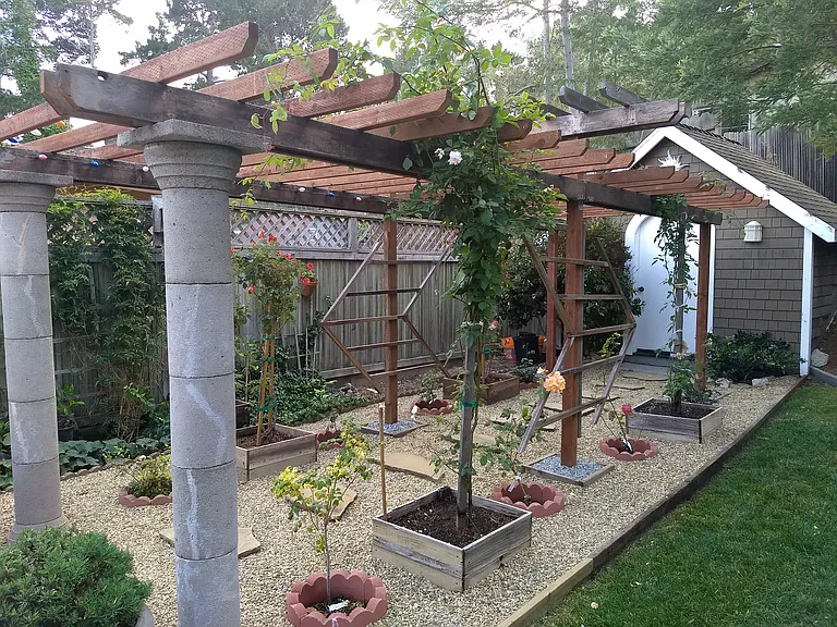 Rose garden