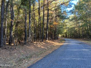 0 Barney Smith Rd, Braxton, MS 39044