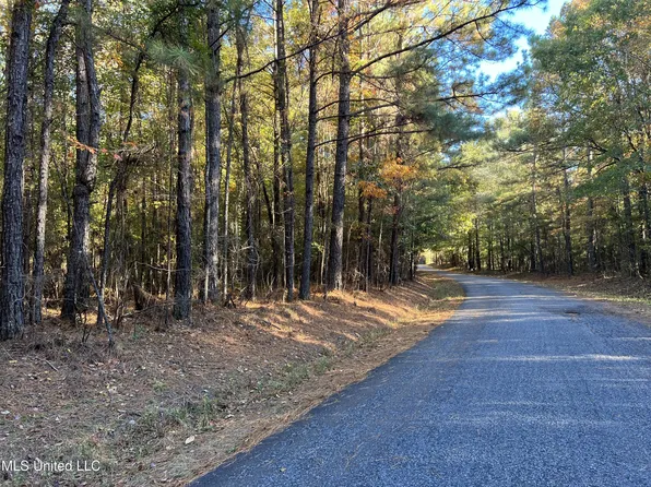 0 Barney Smith Rd, Braxton, MS 39044