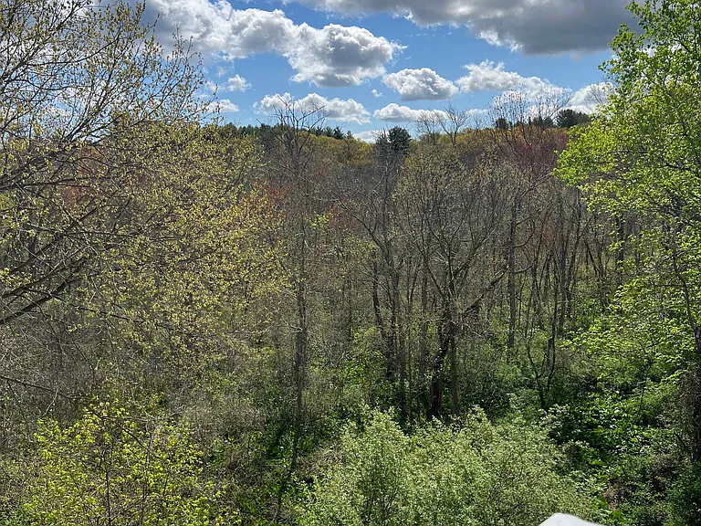 View of Lincoln conservation land from third floor porch