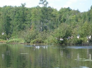 L20 Bo Di Lac Dr #DU, Lac Du Flambeau, WI 54538