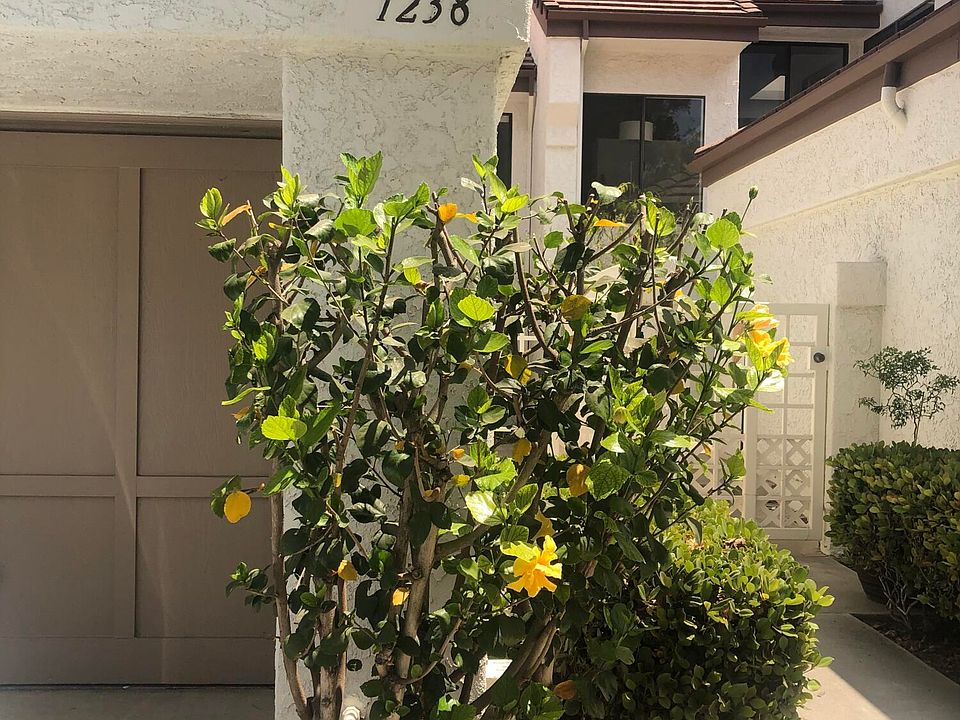 1st image of 1238 Calle Bonita