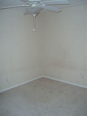 4th image of 610 Bradfield Dr