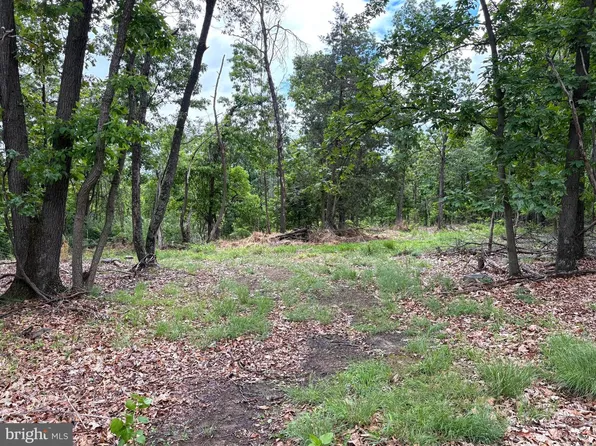 Middle Ridge Rd, Romney, WV 26757