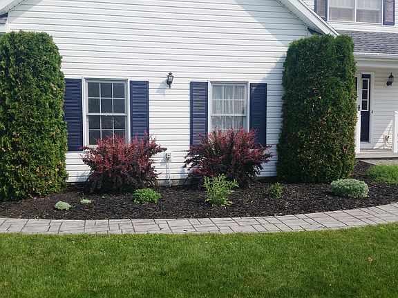 4th image of 61 Leanna Cres