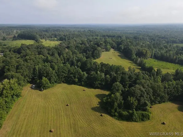4559 County Road 349 Rd, Elba, AL 36323