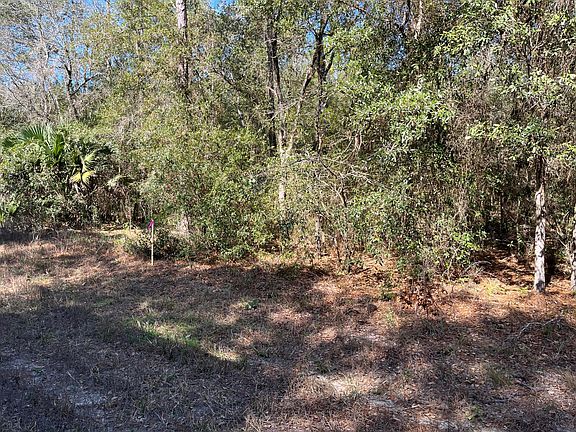3rd image of 8189 W Carlos Lane