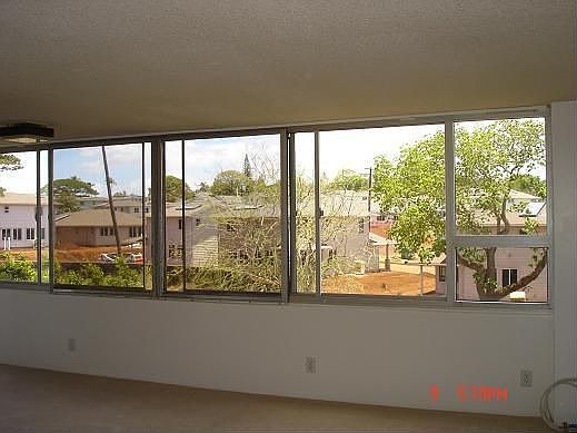 looking out livingroom window