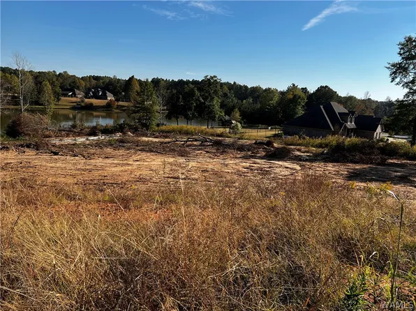 6 Austin Loop, Vance, AL 35490