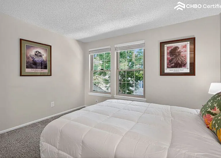 double hung windows for natural light