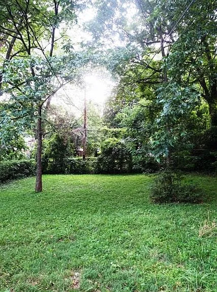 Large, Flat Yard