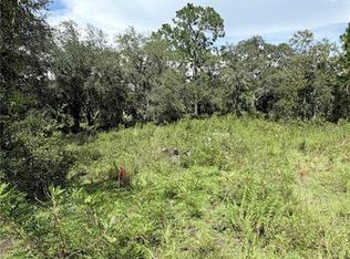 TBD NE 65TH STREET LOT 24, WILLISTON, FL 32696