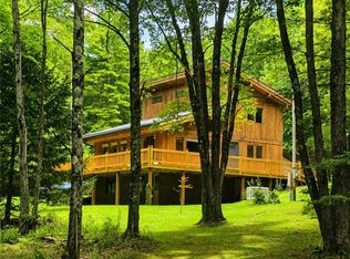 593 Blakesley Nurse Hollow Rd, Afton, NY 13730