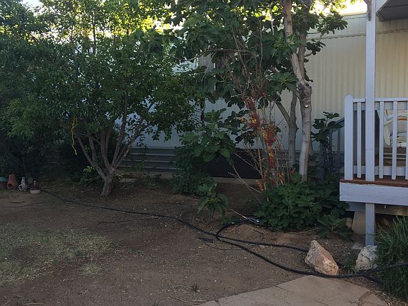 Mid yard early spring