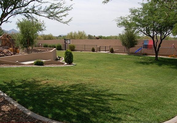Manicured grass yard