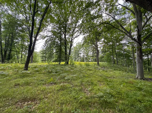40-V/L 80th Ave, Rodney, MI 49342