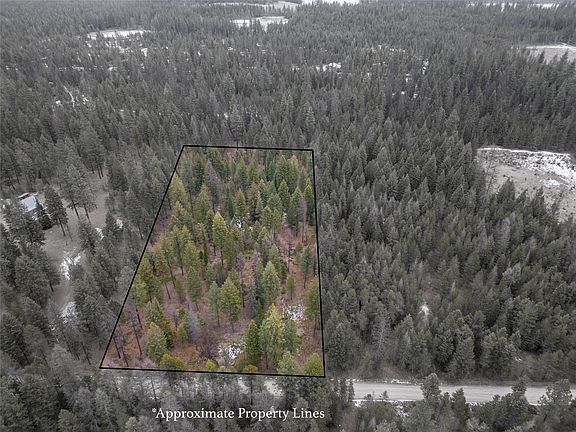 2nd image of Forest Rd