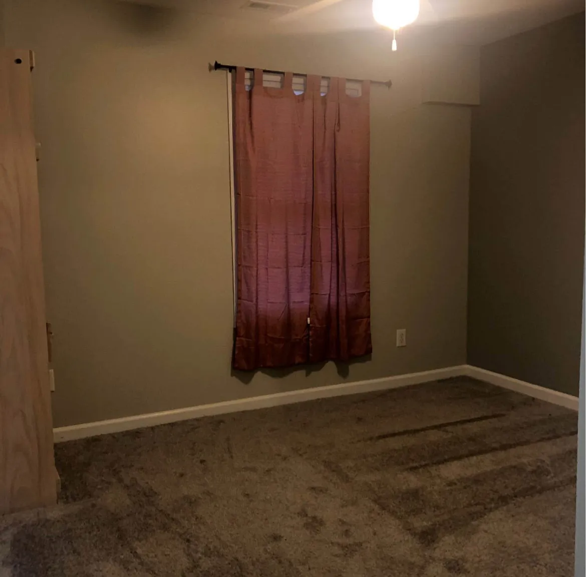 3000 Trailwood Pines Ln — Photo 4