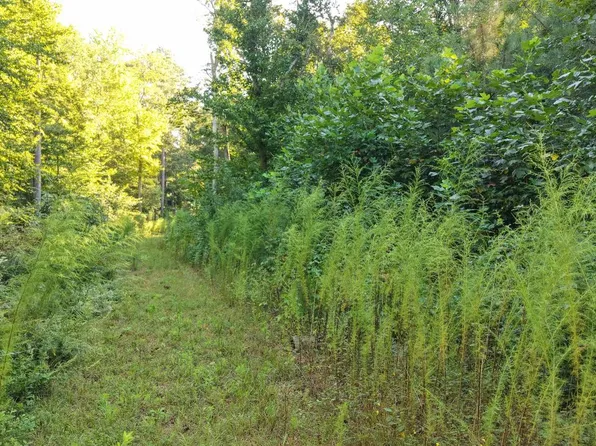 PARCEL 3 Legion Rd, Denton, MD 21629