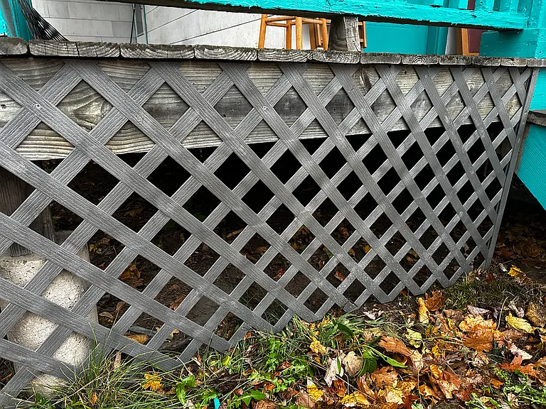 8 Thompson St — Photo 36