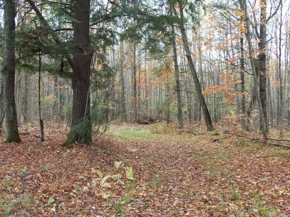 Flambeau Rd, Ladysmith, WI 54848