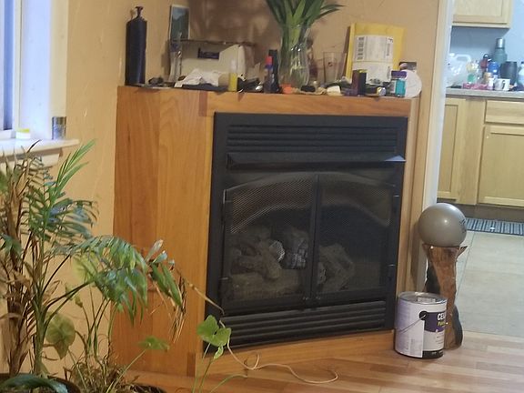 Propane fireplace hardwood floors