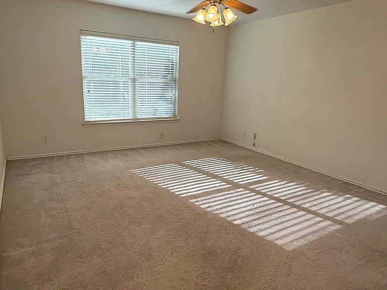 7254 Dwarf Palm — Photo 9