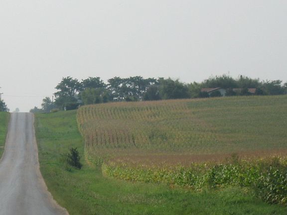 Great View of Road