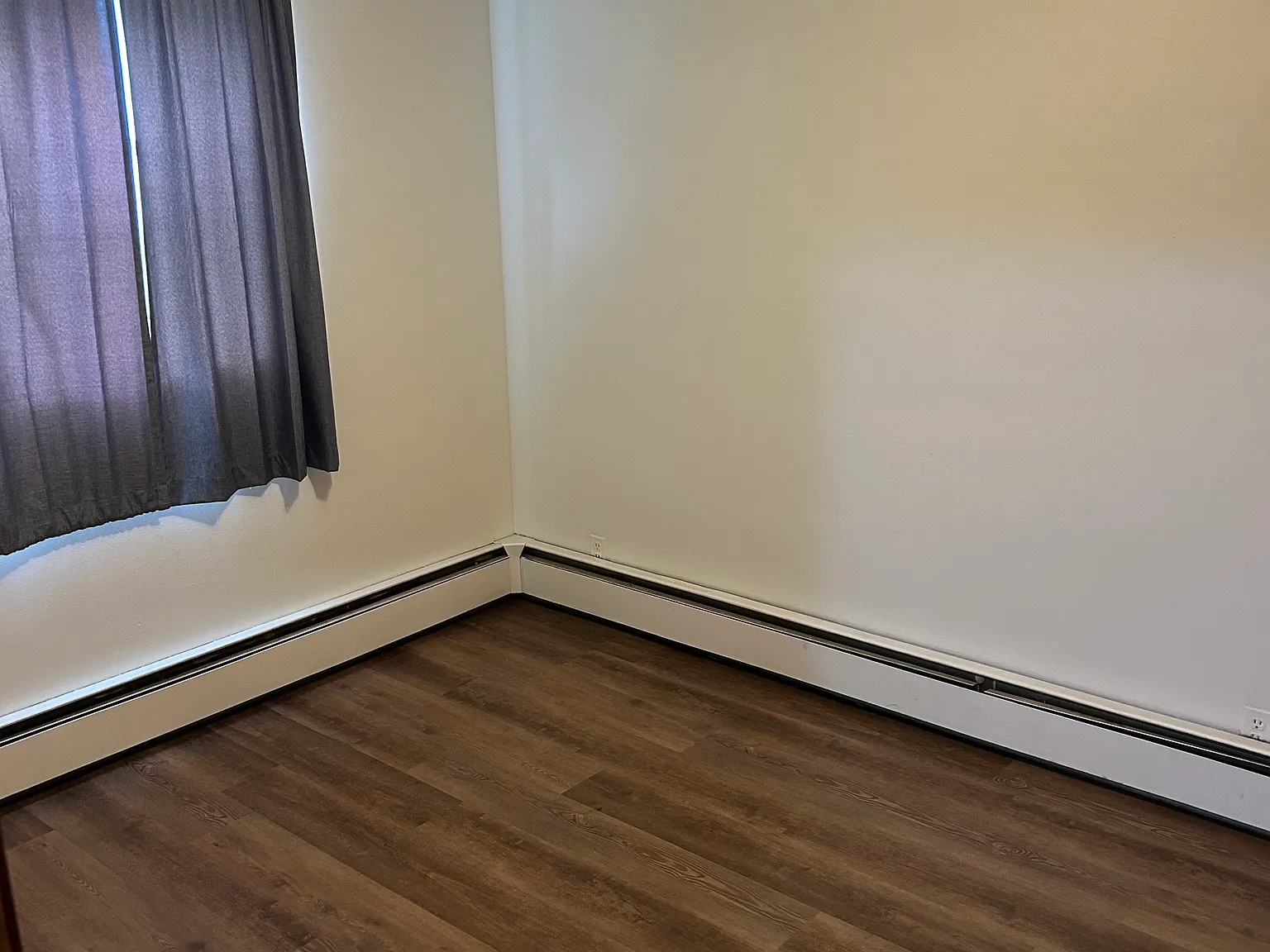 1 bed, 550 sqft, $950 — Photo 2