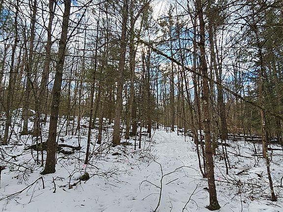 4th image of Lot 82 Perry Pond Road