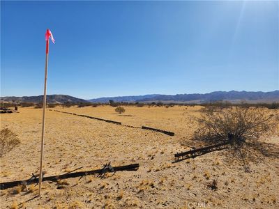 Sunkist Rd, Joshua tree, CA, 92252