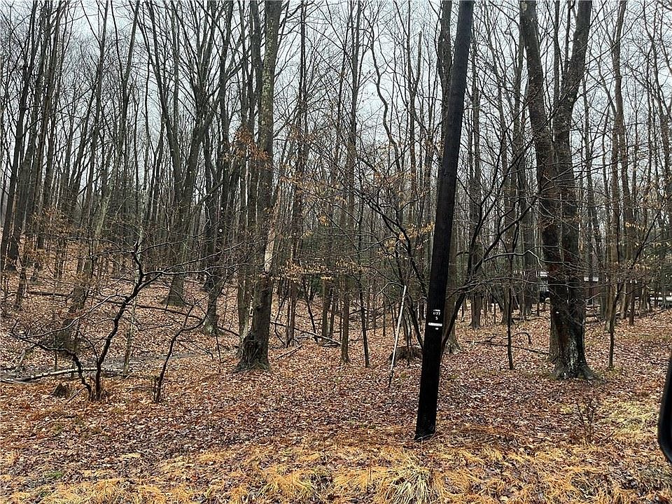 2nd image of 294 Carribean Rd
