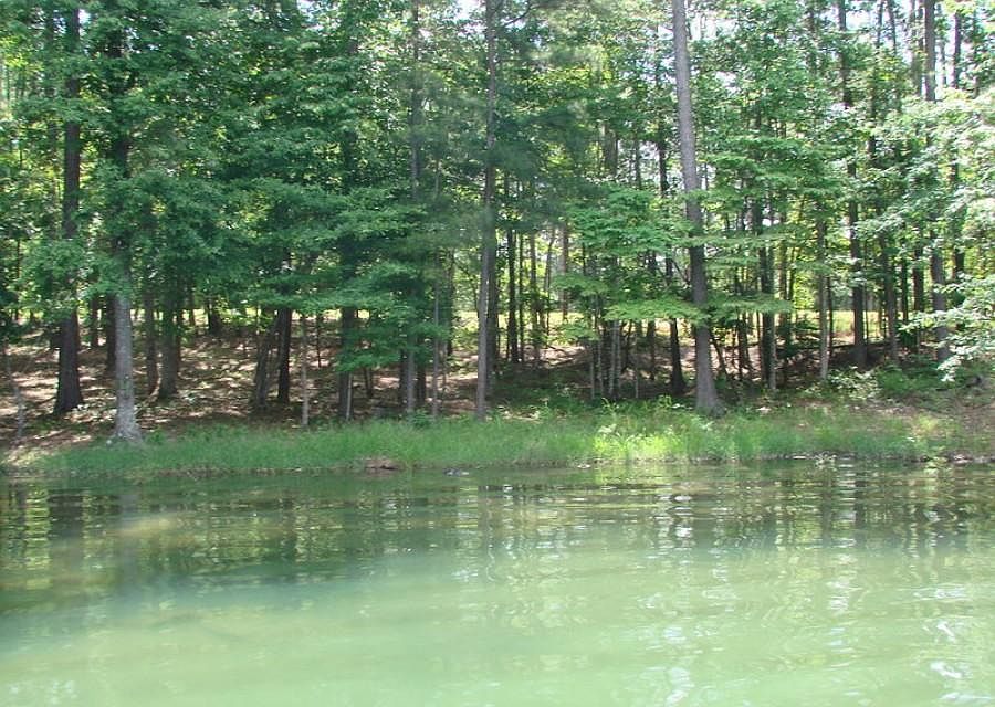 2nd image of LOT 33 Paddock Point