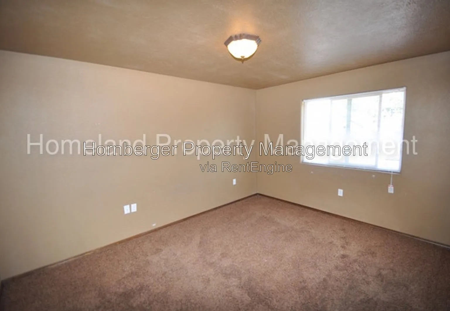 2 bed, 1.5 bath, 1100 sqft, $1,295 — Photo 4